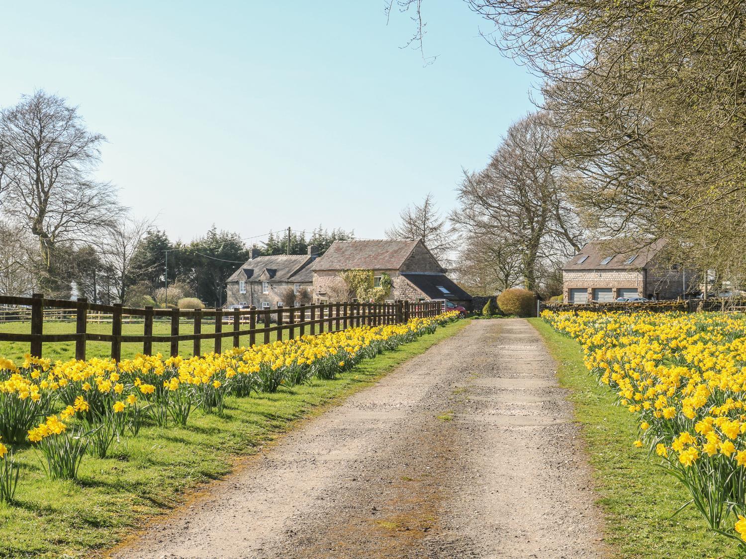 The Cottage Calton Bagian luar foto